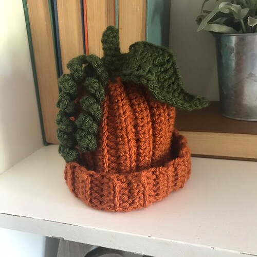 Pumpkin Hat Pumpkin Beanie Newborn 