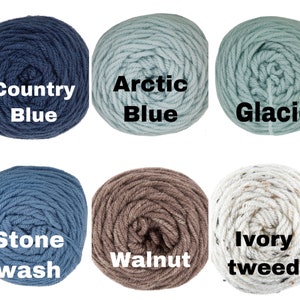 Peut inclure: Dix pelotes de laine de diff&eacute;rentes couleurs, dont lin, bleu campagne, bleu arctique, glacier, canneberge, denim, lavage &agrave; la pierre, noix, tweed ivoire et tabac.