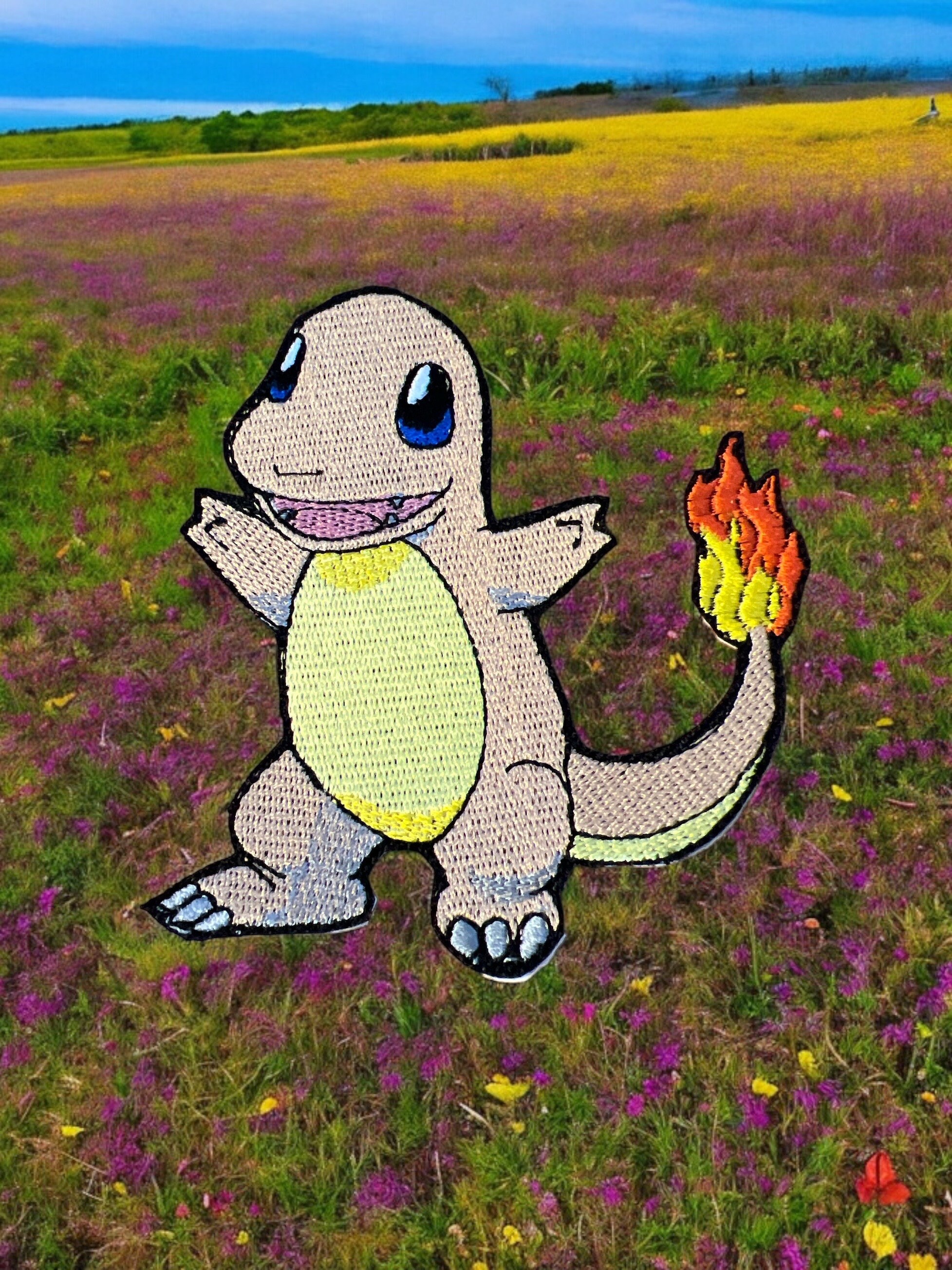 Charmander jacket sale