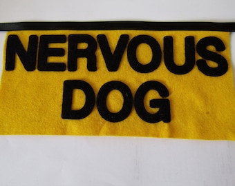 Passeggini Speciali: Modelli Per Bambini Con Disabilità | Peg Perego - Foto 4