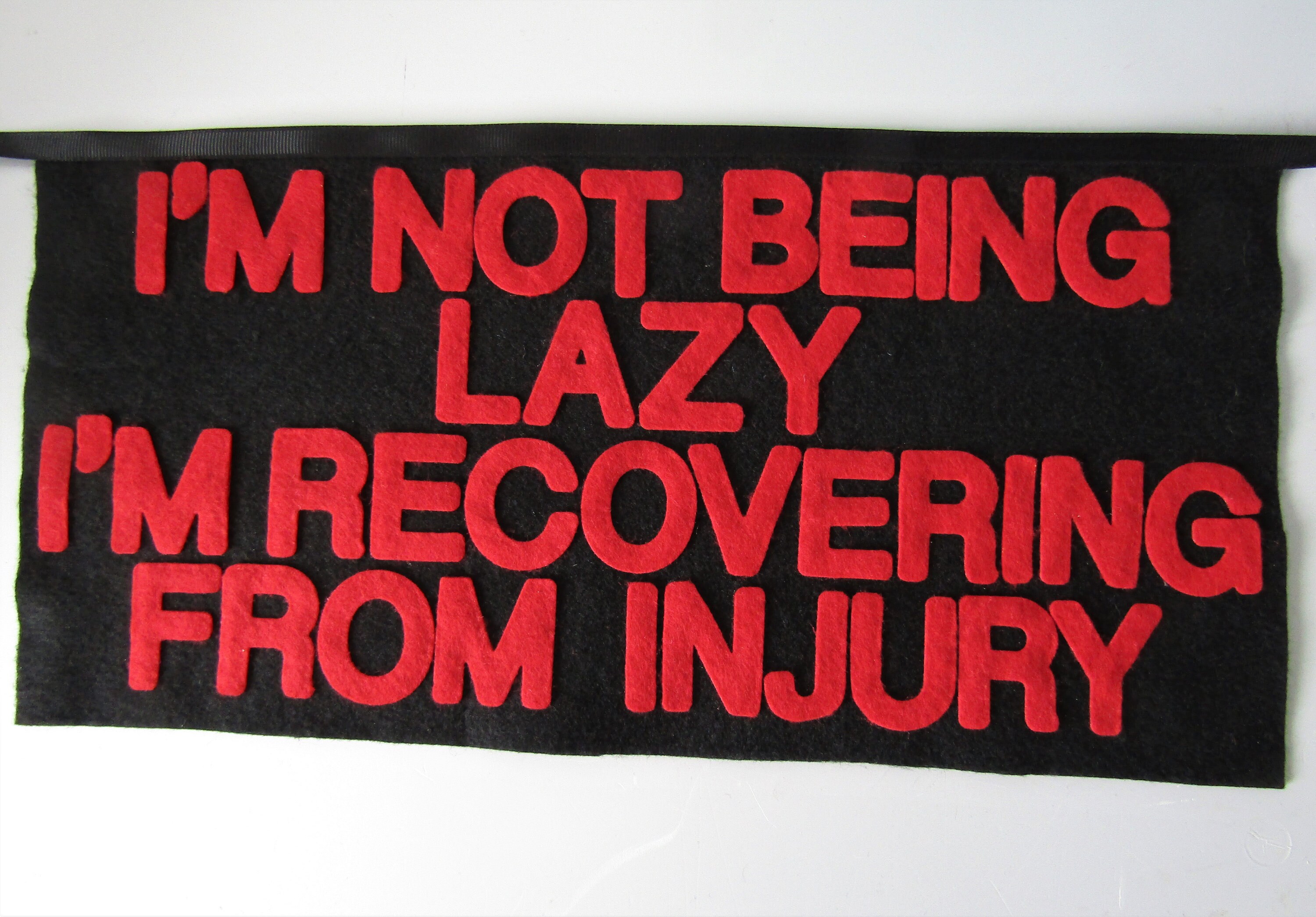 Sign for Special Needs Dog Stroller Sign Pet Stroller Dog Etsy UK