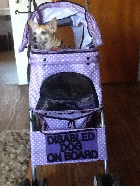 Pet Stroller Dog | Etsy UK