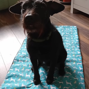 Può includere: Un cane nero seduto su un letto per cani color turchese e bianco a tema cani.