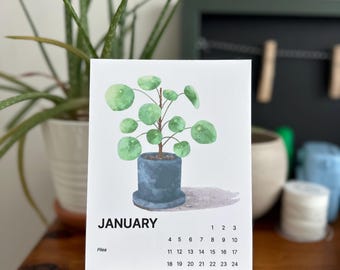 May include: A rectangular January calendar card featuring a watercolour illustration of a green Pilea plant in a dark blue pot. The card is displayed on a light-coloured wooden stand and includes the text January and Pilea with dates.