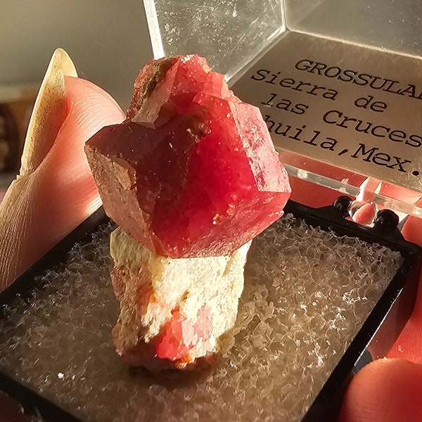 Raspberry Garnet Crystal, Raw Rare Natural, Collector Gemstone, Deep Pink Red, Grossular Garnet, on Matrix, from Coahuila Mexico