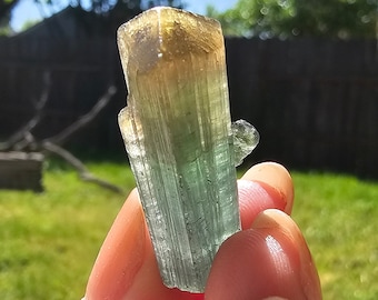 9g Tourmaline Crystal from Brazil, Blue Indicolite with Yellow Cap, Terminated Rare Bicolor, Raw Elbaite Tourmaline, Collector Gemstone