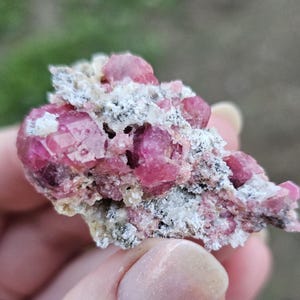 Könnte beinhalten: Ein Cluster aus rosa und roten Kristallen, eingebettet in eine graue Matrix. Die Kristalle sind durchscheinend und haben einen glasartigen Glanz.