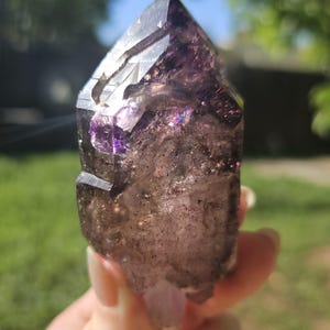 Large Tabby Shangaan Smoky Amethyst Sceptre from Zimbabwe