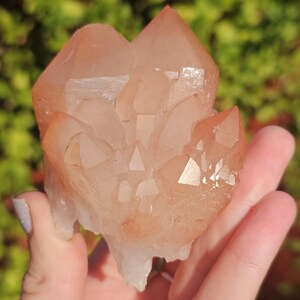 Chunky Peach Pink Elestial Spirit Quartz , Funky Scepter, Flowering Multi Terminated Specimen, Rough Raw Quartz, New Find