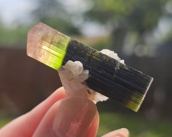 11.4g Tourmaline Crystal, Stak Nala, Raw Elbaite, Double Terminated, with Matrix, Pink Green and Purple, Parti Colored, Rare Collector Gem