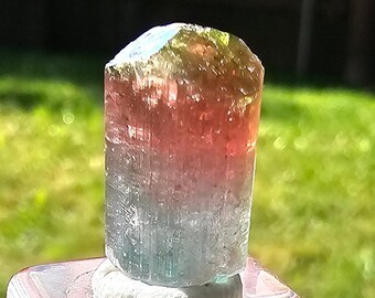Cristal de tourmaline 3,5 g, elbaïte brute brute, bleu multicolore, rouge, vert, tourmaline rouge à lèvres, pierre précieuse de collection rare terminée, aricanga