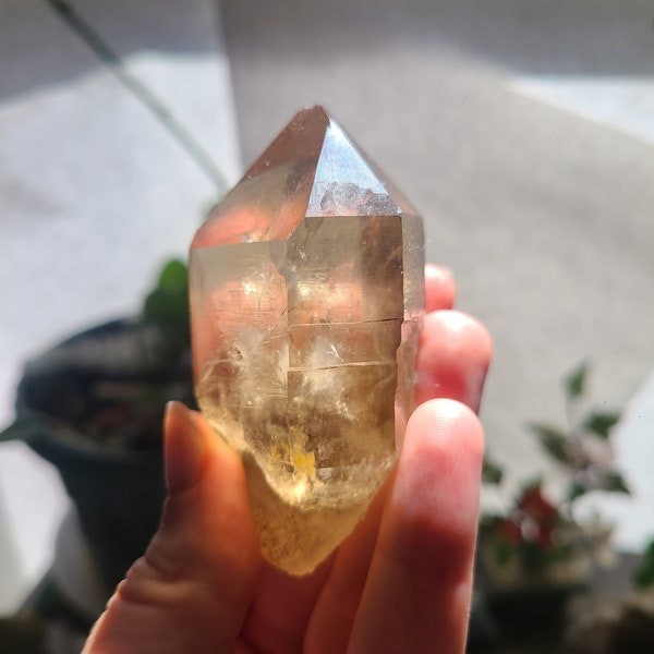 Hand Collected Raw Citrine | *RARE* California, Hallelujah Junction, Near Tahoe | Ethical Directly Sourced, High Grade, Local Quartz Gem