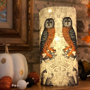 May include: A cylindrical Halloween-themed candle holder featuring two owls with orange and black feathers. The background is a pattern of skulls and other spooky elements. The candle holder is lit from within, creating a warm glow.