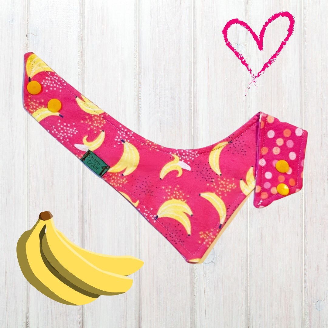 Clearance SnapOn Pet Bandana Bananas for Bananas Etsy