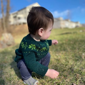 Puede incluir: Un niño con un suéter de punto verde oscuro con un patrón verde claro, pantalones azul oscuro y calcetines grises, se agacha en la hierba en un día soleado. El suéter tiene cuello redondo y mangas largas.