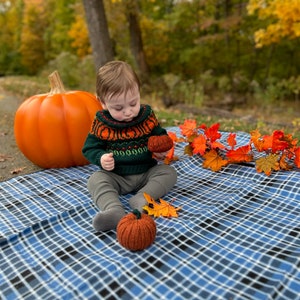 Pumpkin Patch Sweater adults-kids PDF Pattern Digital Download DK/Worsted weight-top down pullover pumpkins halloween fall image 5