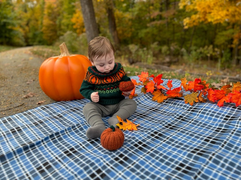 Pumpkin Patch Sweater adults-kids PDF Pattern Digital Download DK/Worsted weight-top down pullover pumpkins halloween fall image 5