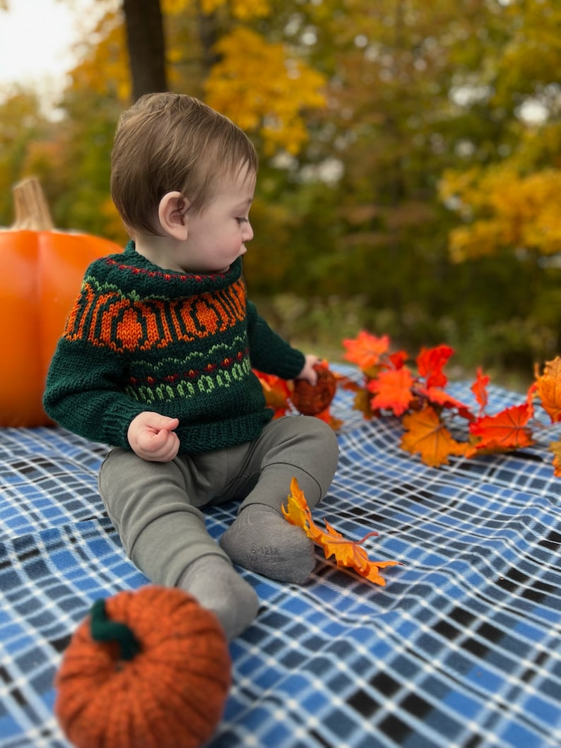 Pumpkin Patch Sweater adults-kids PDF Pattern Digital Download DK/Worsted weight-top down pullover pumpkins halloween fall image 6