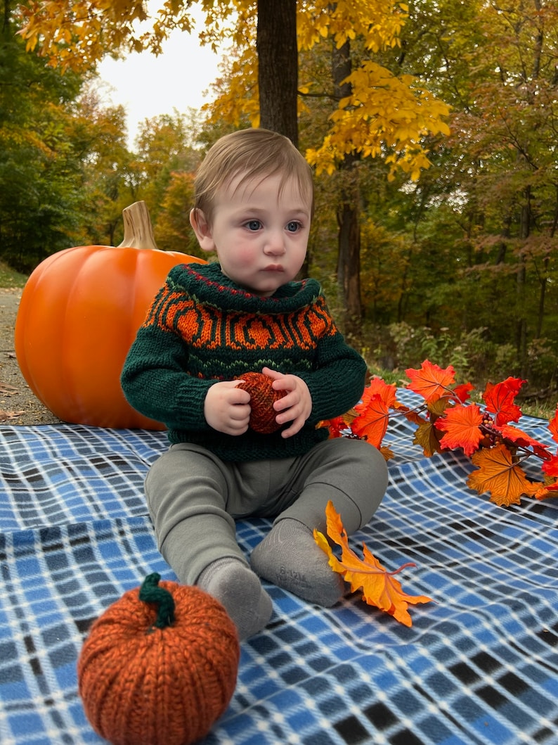 Pumpkin Patch Sweater adults-kids PDF Pattern Digital Download DK/Worsted weight-top down pullover pumpkins halloween fall image 3