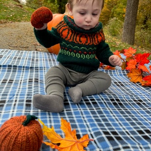 Pumpkin Patch Sweater adults-kids PDF Pattern Digital Download DK/Worsted weight-top down pullover pumpkins halloween fall image 8