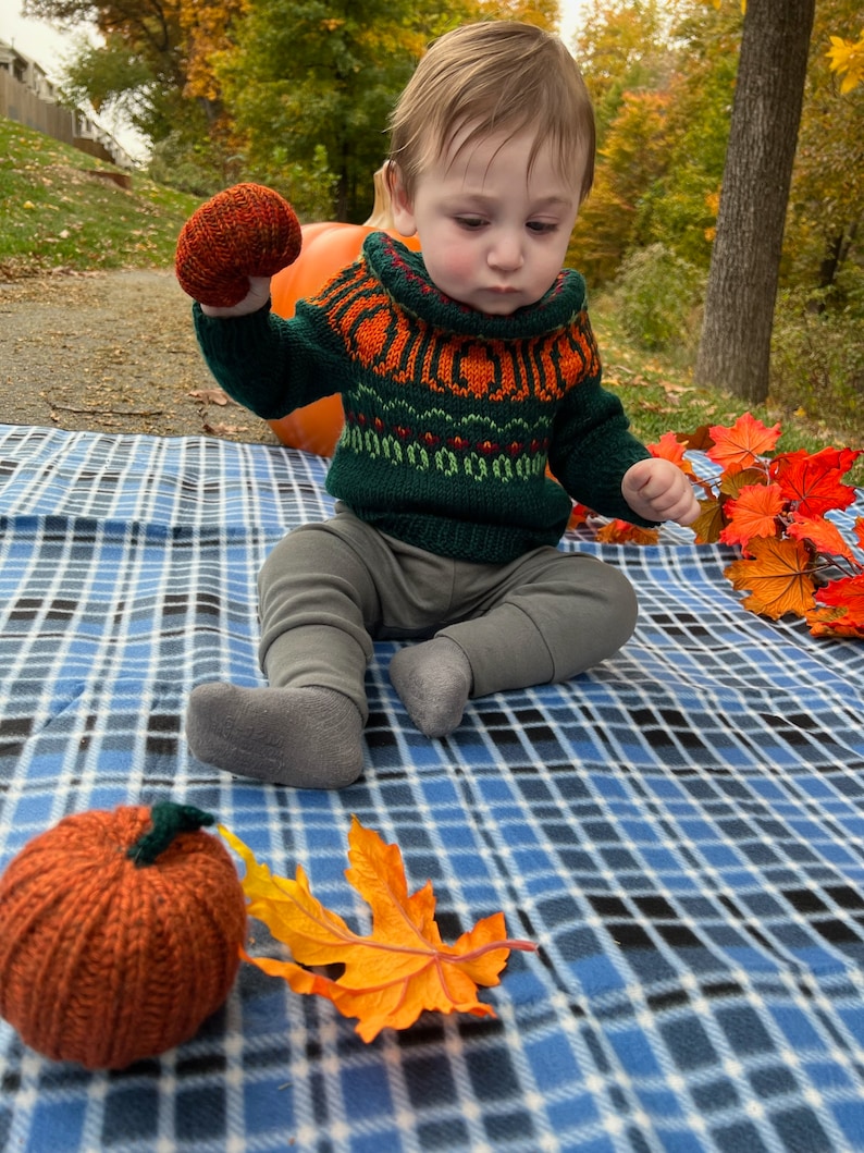 Pumpkin Patch Sweater adults-kids PDF Pattern Digital Download DK/Worsted weight-top down pullover pumpkins halloween fall image 8