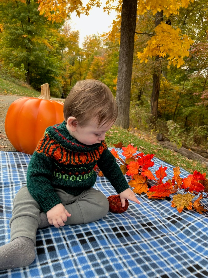 Pumpkin Patch Sweater adults-kids PDF Pattern Digital Download DK/Worsted weight-top down pullover pumpkins halloween fall image 7