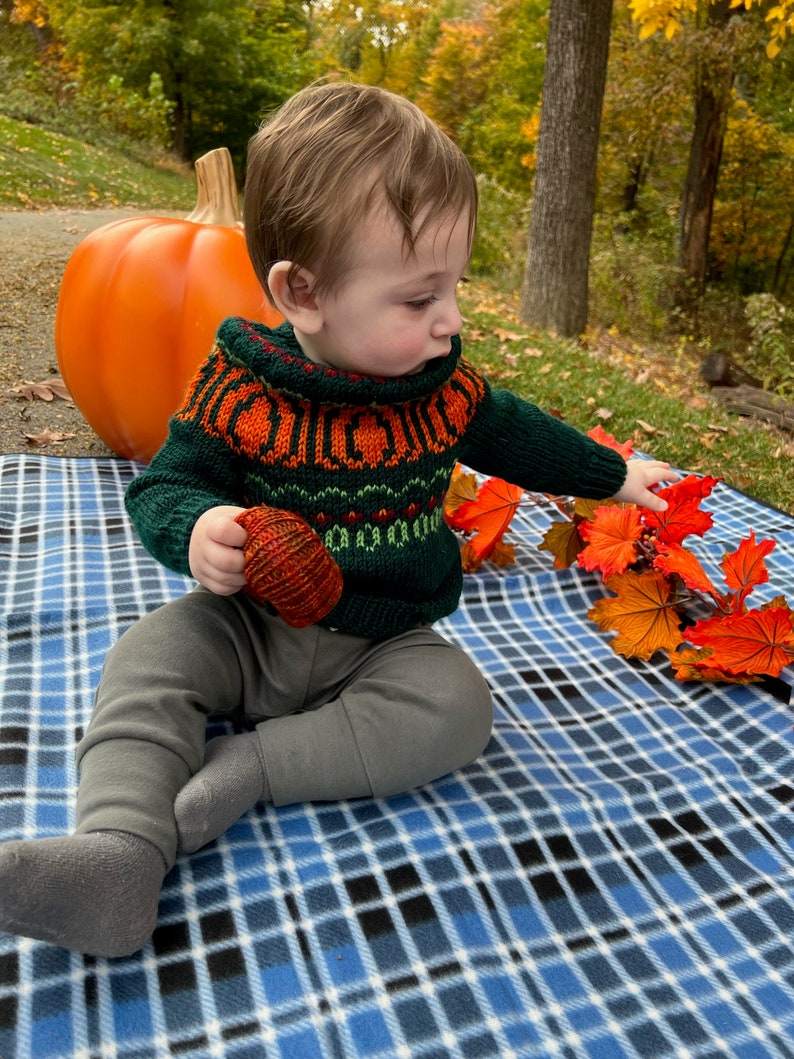 Pumpkin Patch Sweater adults-kids PDF Pattern Digital Download DK/Worsted weight-top down pullover pumpkins halloween fall image 4