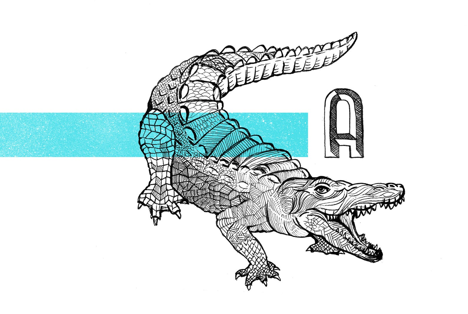 Как нарисовать аллигатора монти