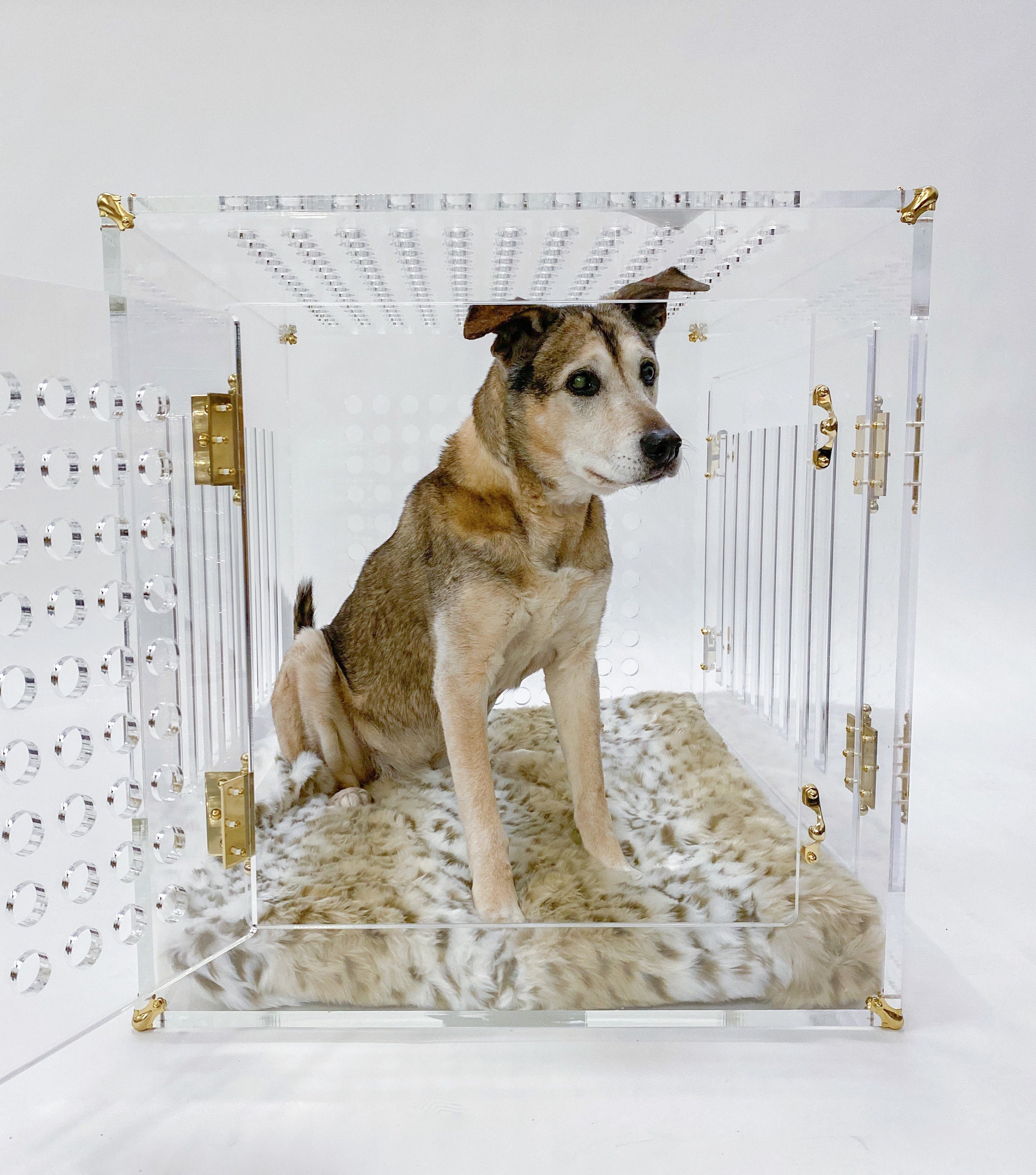 Acrylic dog cage sale