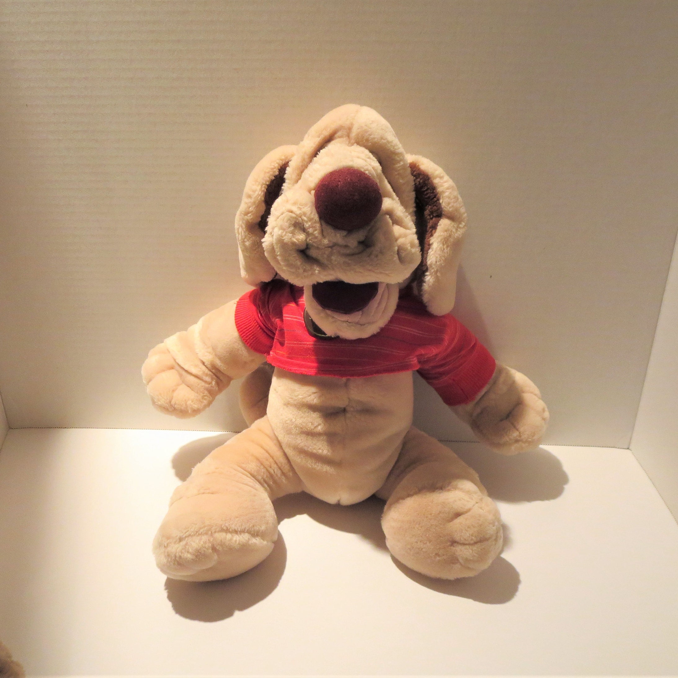 ganz wrinkles dog