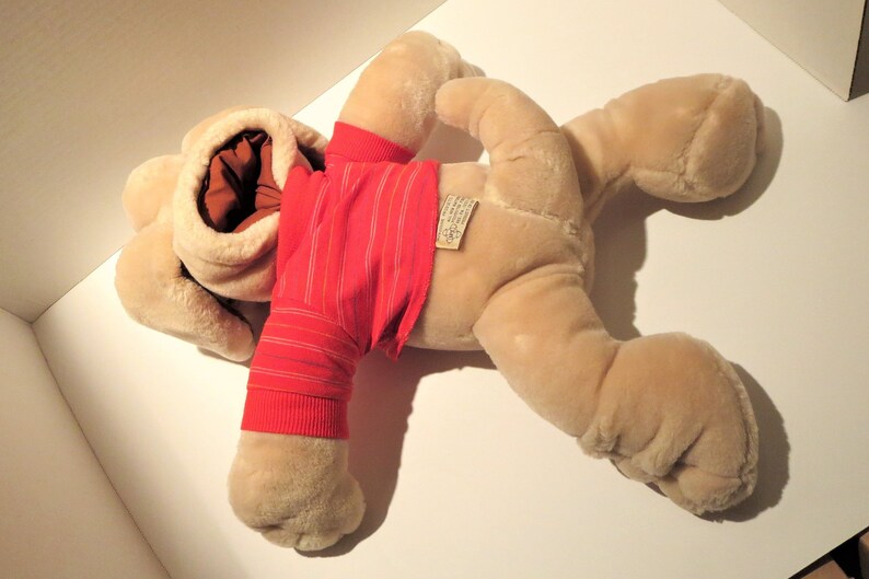 wrinkles dog teddy bear