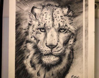 Snow Leopard charcoal drawing/sketch