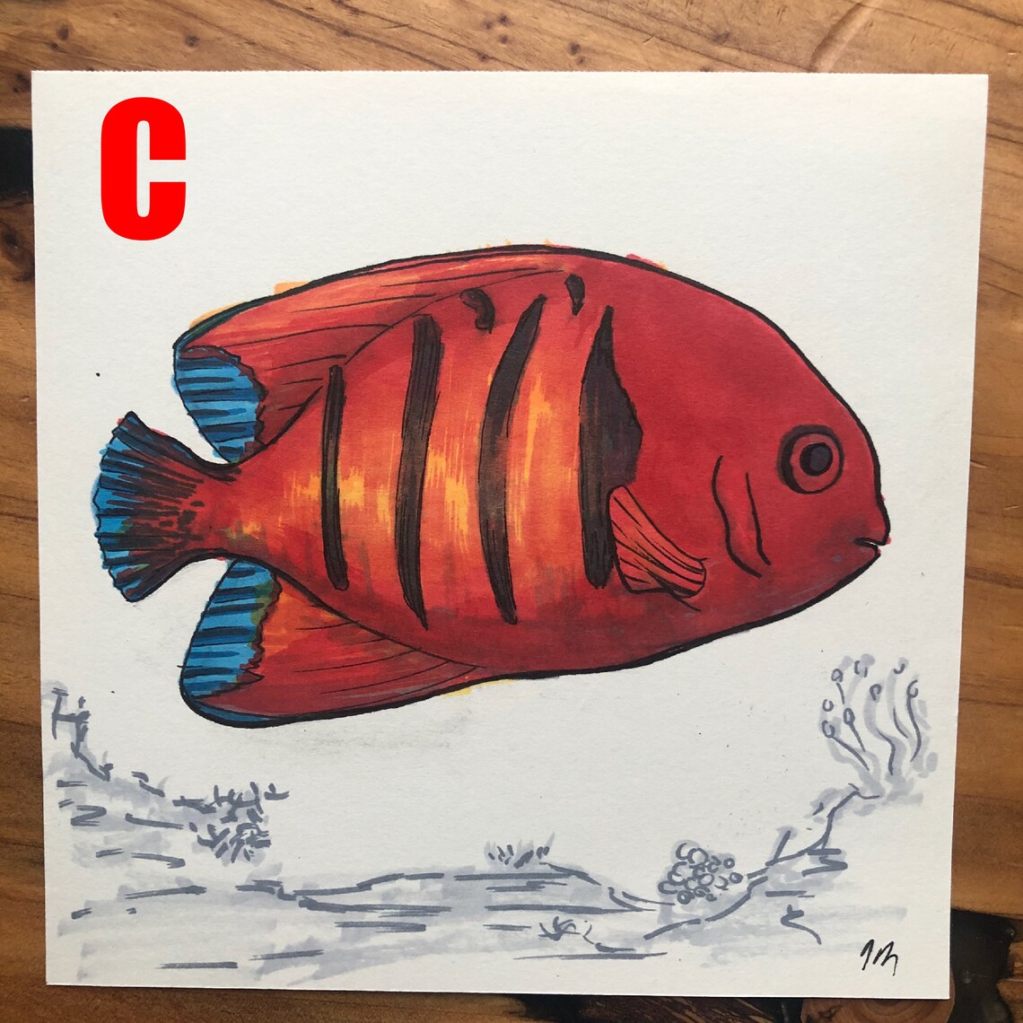 Saltwater Fish - Original Marker/ink Sketches - Etsy
