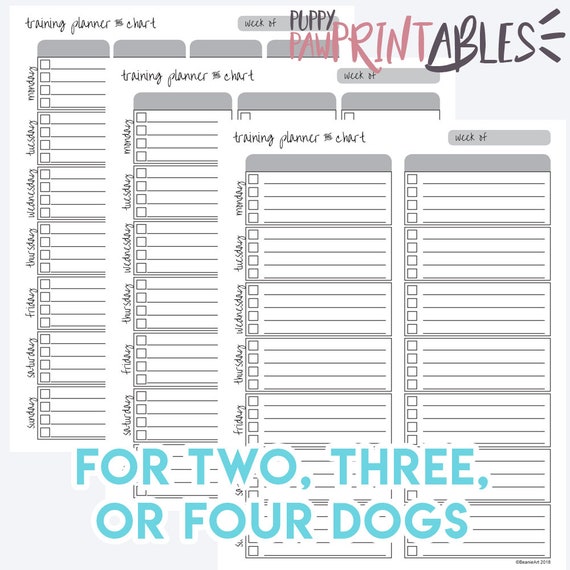 Dog Training Schedule Chart