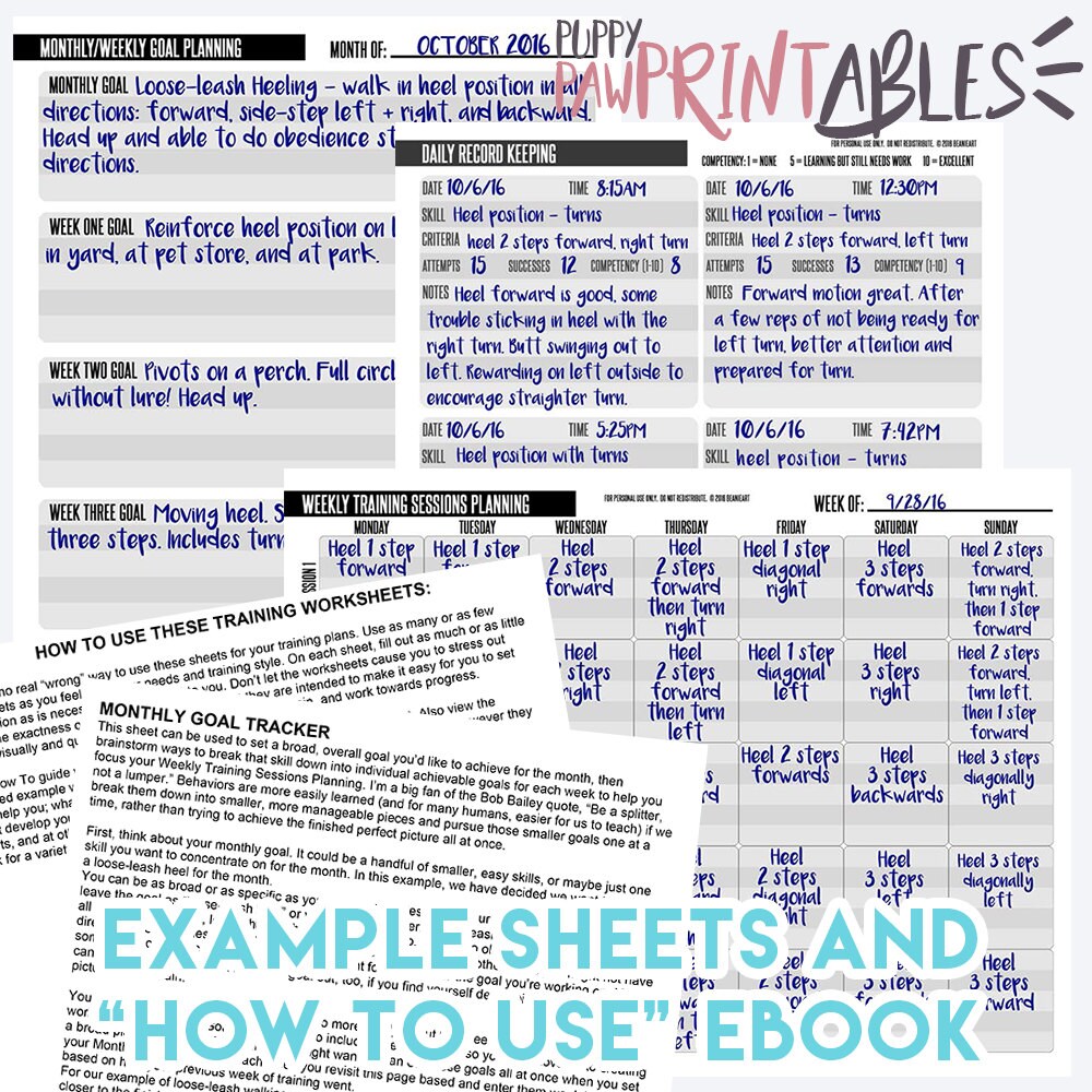 printable dog training planner and record keeping worksheets etsy