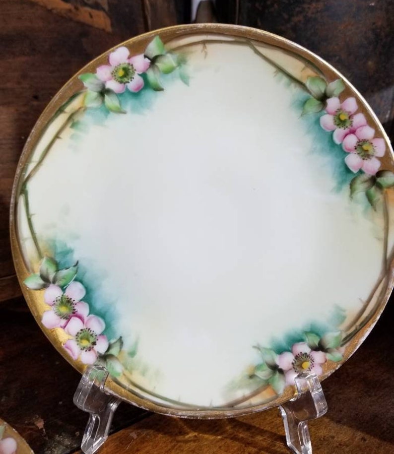 Vintage THOMAS Bavaria Hand Painted Porcelain Cake Plates Set Etsy