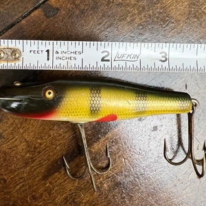 Creek Chub 