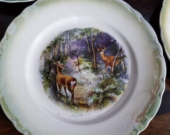 Vintage D. E. McNicol East Liverpool Plates, Set of Four Wildlife Green Border~ Deer Woods, Turkey Tree, Birds Browns Greens, Hunting Rustic