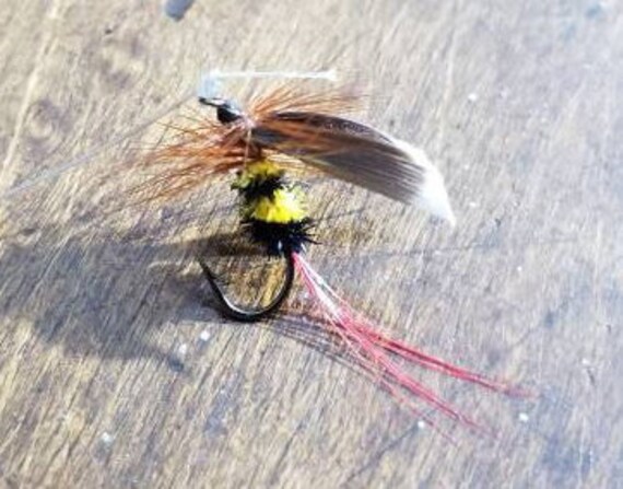 Leurre pêche truite fait main Martin Type50S top leurre truite slow sinking
