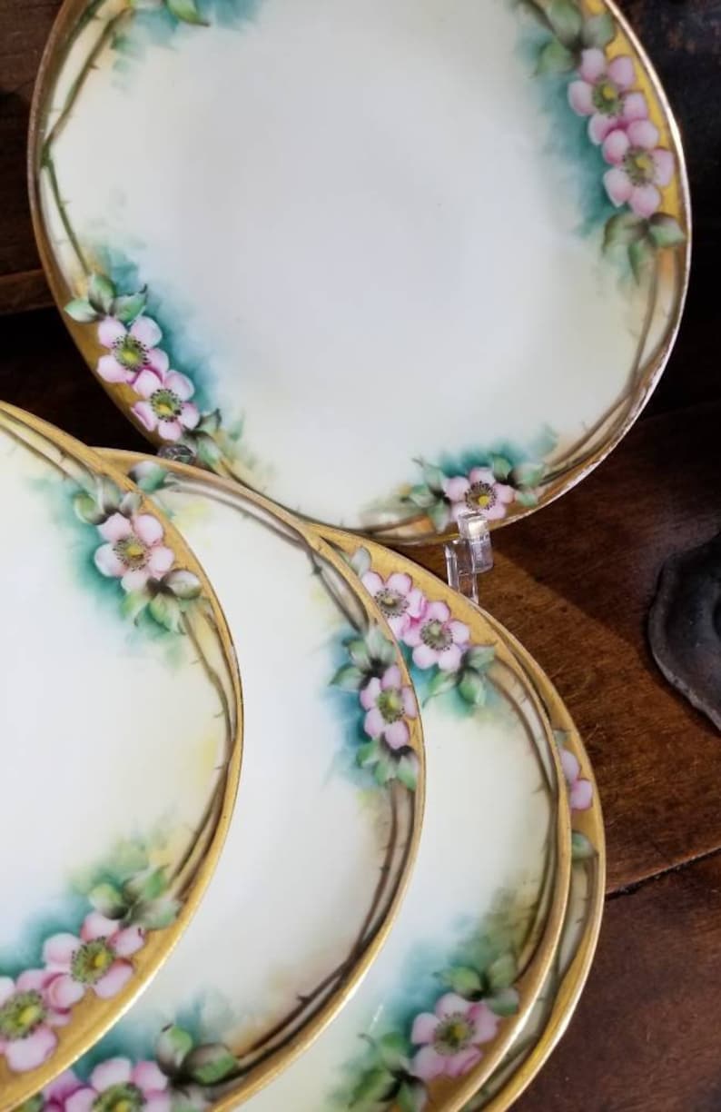 Vintage THOMAS Bavaria Hand Painted Porcelain Cake Plates Set Etsy