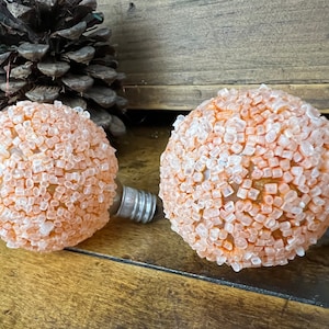 May include: Two orange light bulbs covered in small white and orange sugar crystals. The bulbs have a standard screw-in base.