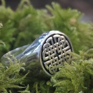 Dara Knot Sterling Silver Signet Ring