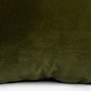 May include: A soft, plush green throw pillow with a smooth, velvety texture.