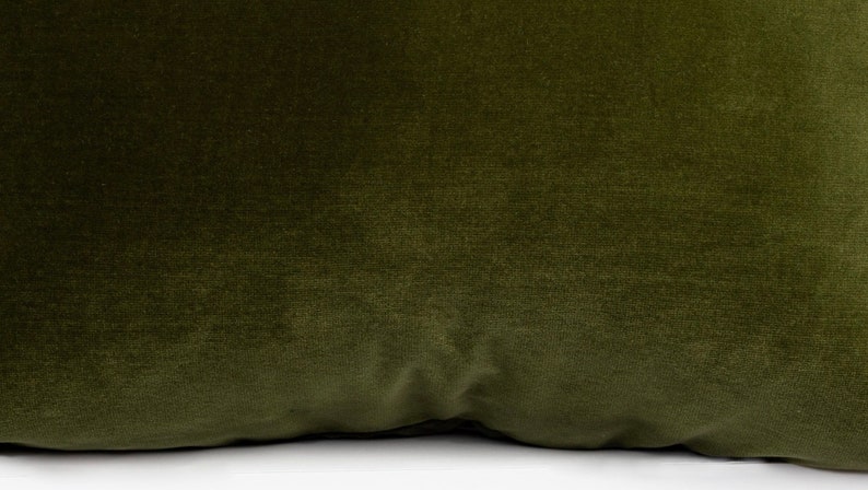 May include: A soft, plush green throw pillow with a smooth, velvety texture.