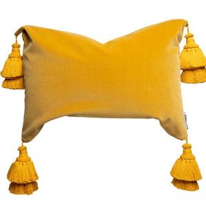 May include: A mustard yellow velvet pillow with four large tassels. The tassels are made of the same fabric as the pillow and are attached to the corners.