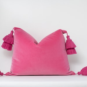 May include: A pink velvet pillow with tassels on each corner. The pillow is a square shape and has a soft, plush texture.