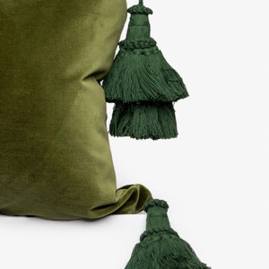 May include: A green velvet pillow with two green tassel accents.