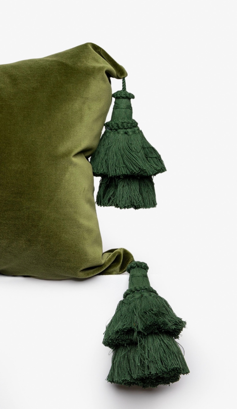 May include: A green velvet pillow with two green tassel accents.