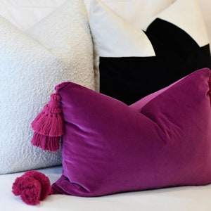 May include: A collection of decorative throw pillows in various styles. A plush, textured white pillow is next to a black and white geometric pillow. A vibrant magenta velvet pillow with matching tassels is in the foreground.