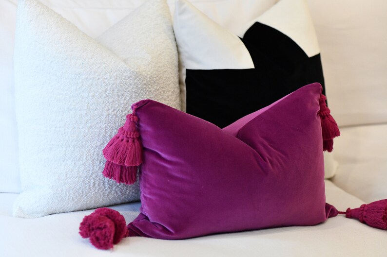 May include: A collection of decorative throw pillows in various styles. A plush, textured white pillow is next to a black and white geometric pillow. A vibrant magenta velvet pillow with matching tassels is in the foreground.